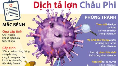 BÀI TUYÊN TRUYỀN:PHÒNG CHỐNG BỆNH DỊCH TẢ LỢN CHÂU PHI